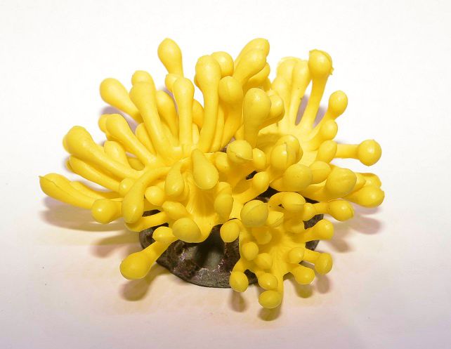 Decor acvariu anemona galbena Y123B