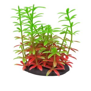 Plante de acvariu Elodea 8 cm aduc un mix rosu-verde vibrant; plante artificiale sigure, cele mai rafinate flori artificiale pentru acvariu, perfecte ca accent in nano-acvarii.