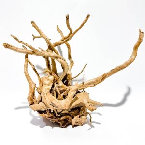 Radacina acvariu TW06 este alegerea ideala pentru un decor acvatic natural si spectaculos. Adauga lemn in acvariu cu textura unica si stabilitate. Lemn acvariu perfect pentru orice setup.