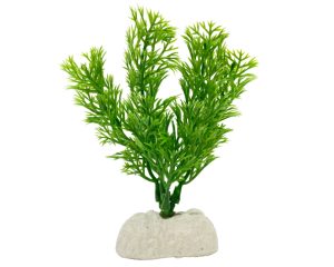 Planta plastic Stonewort 4 inci ( 13 cm )