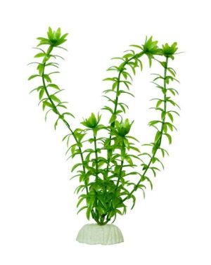 Planta plastic Anacharis 8 inci ( 20 cm )