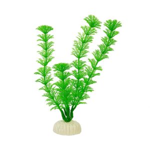 Planta acvariu Cabomba 20 cm, vedeta colecsiei tale; plante artificiale verzi vibrante, plante de acvariu rezistente cu baza ceramica, montaj rapid, perfecte pentru ascunzisuri si contrast foto.
