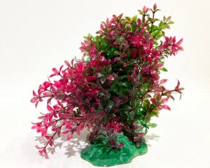 Planta acvariu artificiala Ludwigia rosie