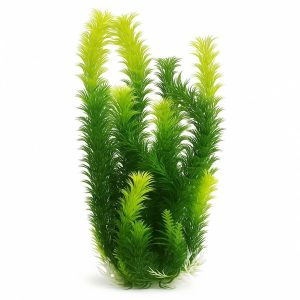 Planta acvariu Ceratophillum 2 nuante de verde 50 cm