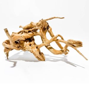 Lemn acvariu tropical TW10 ofera un decor exotic si natural. Lemnul in acvariu creeaza un habitat placut pentru pesti, iar dragon wood acvariu adauga un plus estetic. Lemn acvariu perfect.