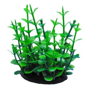 Planta artificiala acvariu Bacopa verde PP301