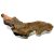 Driftwood Mystic Wood pentru acvarii model MW39