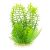 Plante acvariu easy 18 cm Elodeea verde