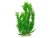 Planta acvariu Ceratophillum verde PP308 26 cm