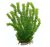 Planta acvariu Ceratophillum verde 36 cm