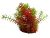 Planta artificiala acvariu Egeria rosu cu verde 18 cm