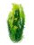 Planta acvariu Ceratophillum 2 nuante de verde 36 cm