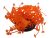 Anemona portocalie pentru acvariu