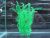 Decor acvariu siliconic verde Caulerpa taxifolia
